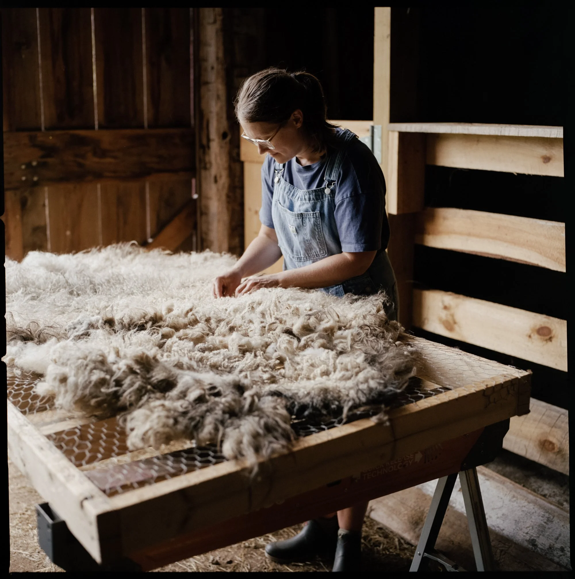 McKerrowFarms2026_Film_JG_026_LR.jpg