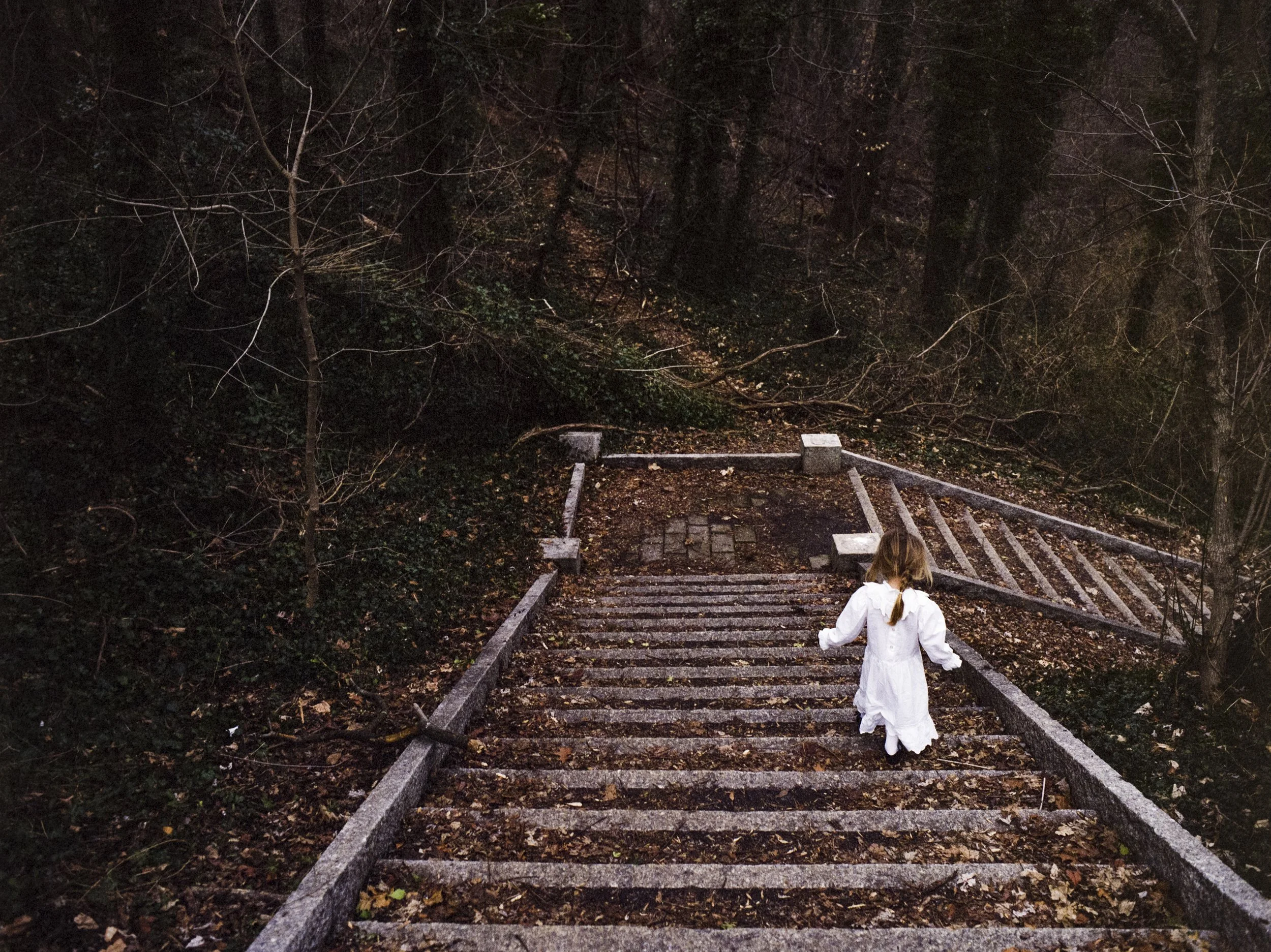 33_Steps_LR.jpg