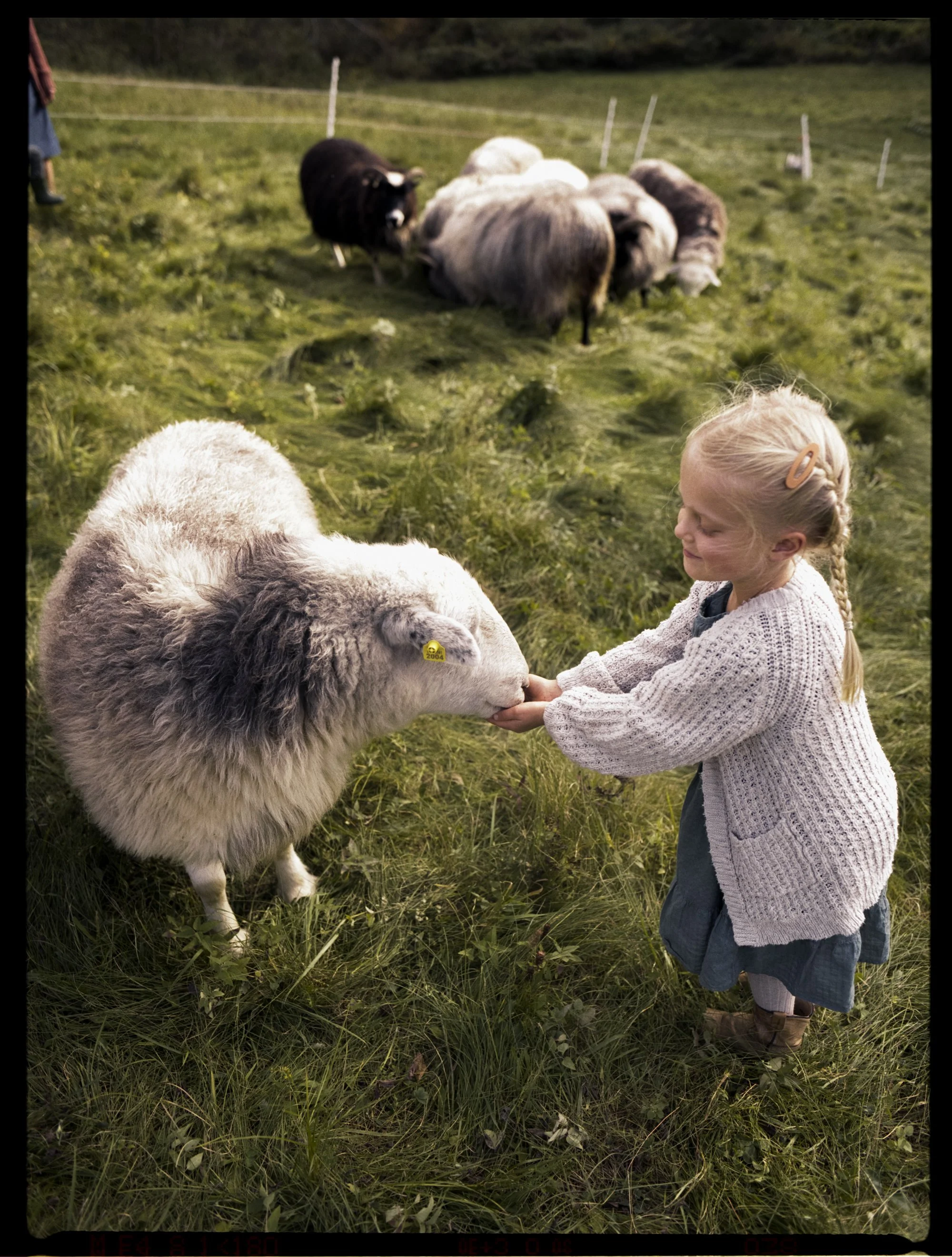 AnnaFarm_JG_Fall23_0017_LR.JPG