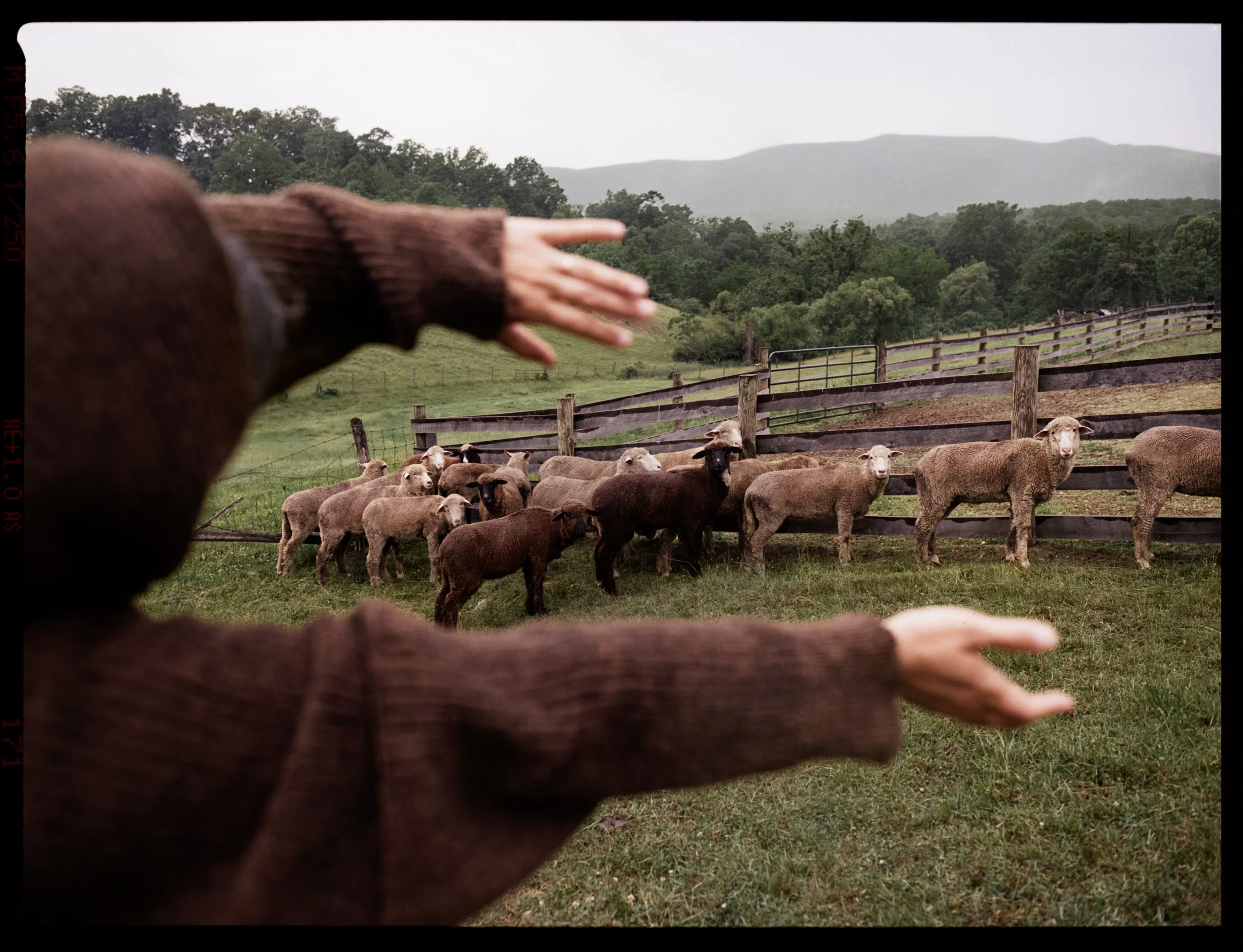 JG_WolHideLISSOME_Film_041_RT_LR.jpg