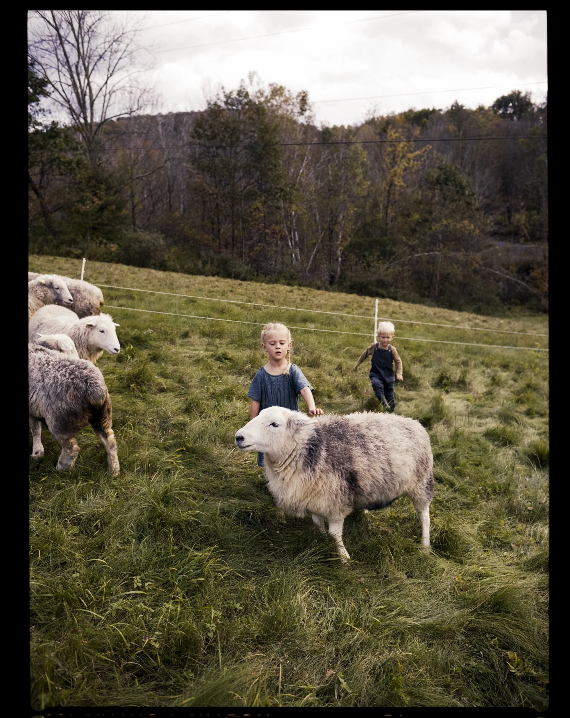 AnnaFarm_JG_Fall23_0010_LR.JPG