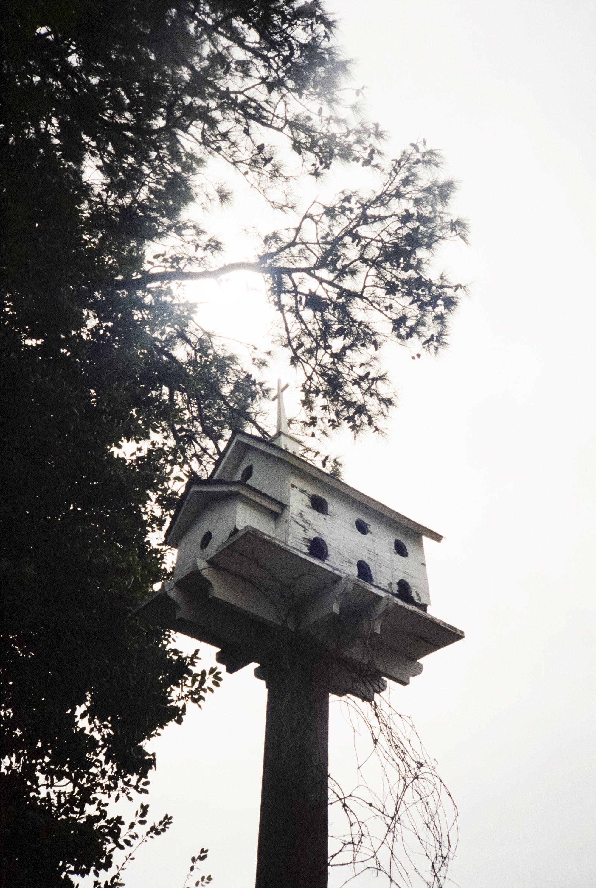 36_Birdhouse_LR.jpg