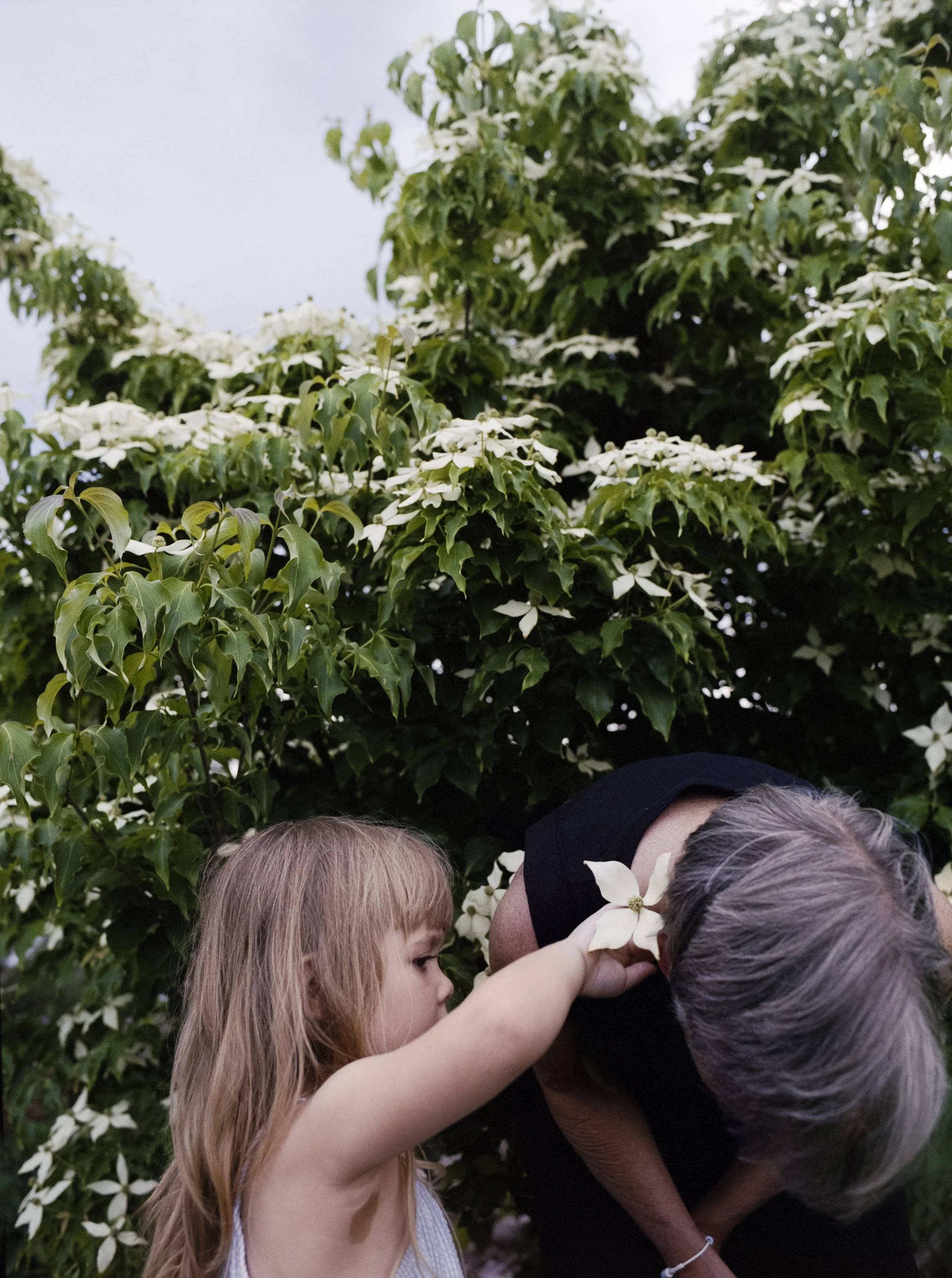 37_Flowerhair_LR.jpg