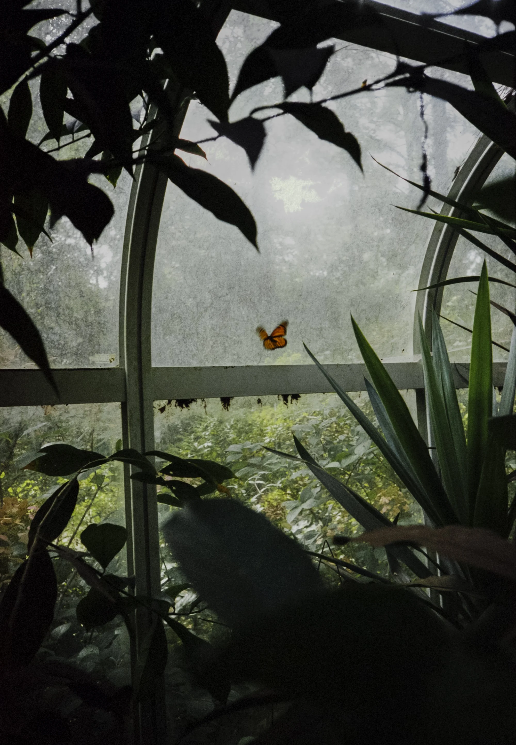 11_Greenhouse_LR.jpg