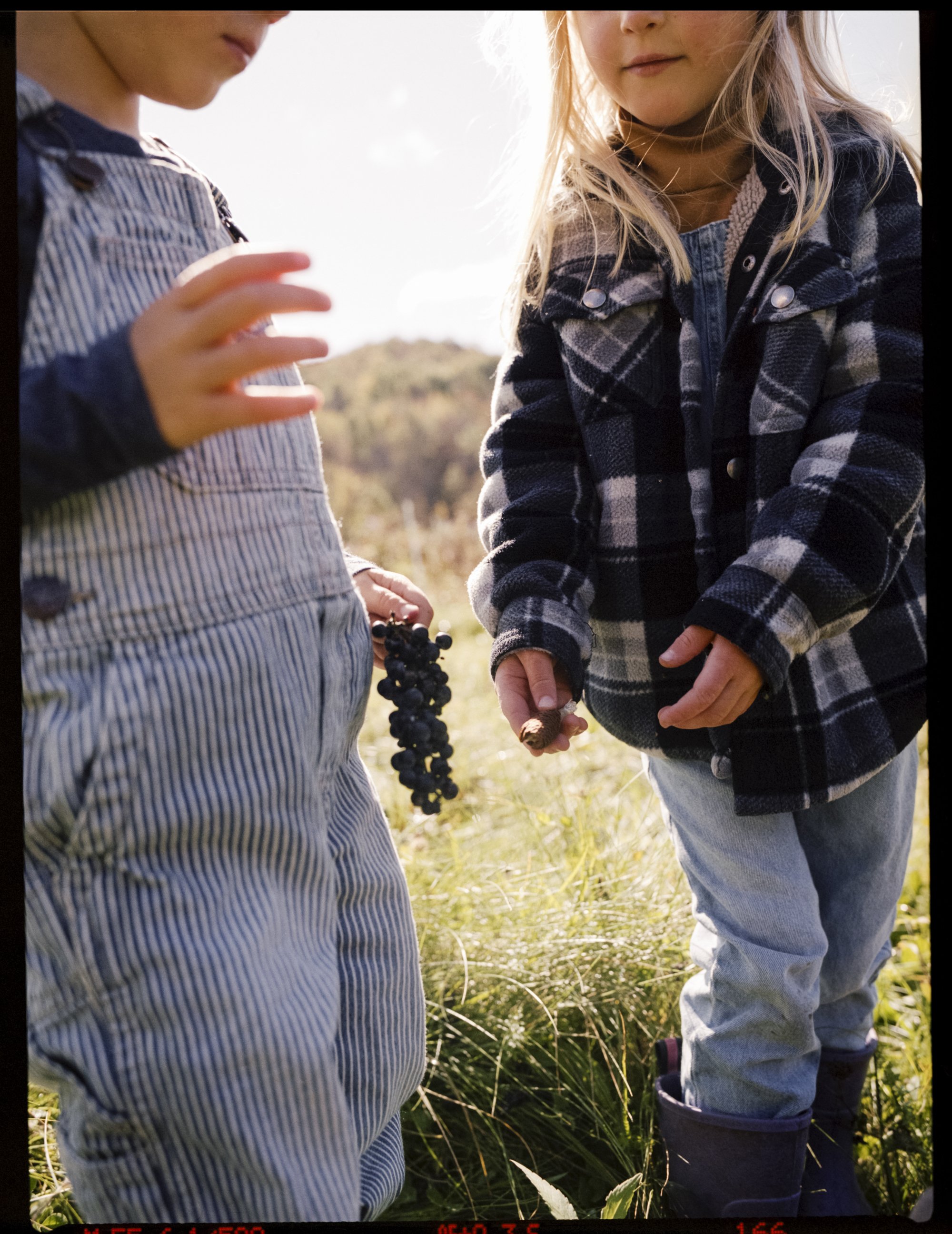 AnnaFarm_JG_Fall23_0056_LR.JPG