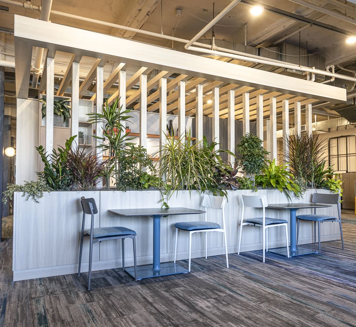 Falkbuilt Grand Rapids_217 Installation_After_1.JPG