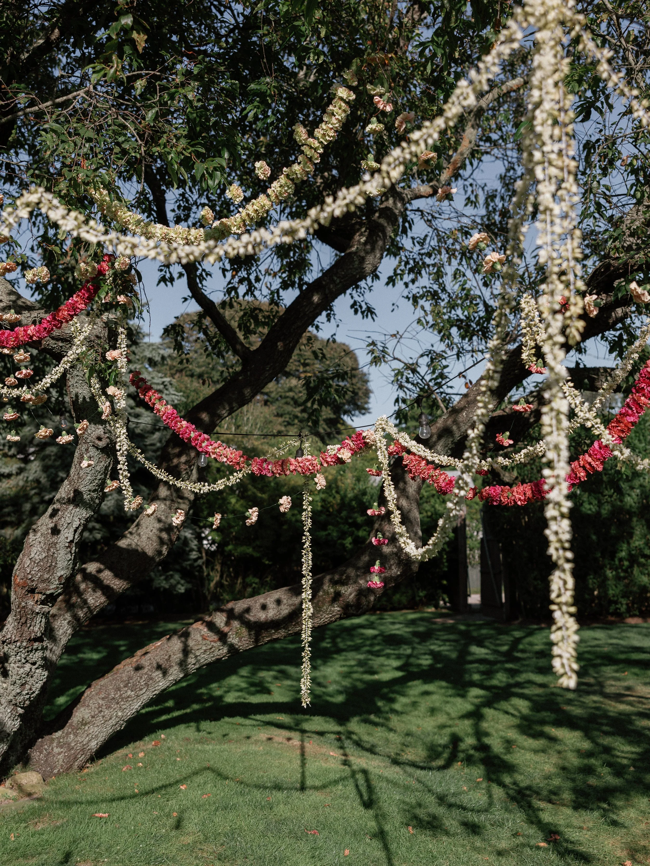 DIGITAL-K&L-MelissaStickneyPhoto-214.jpg