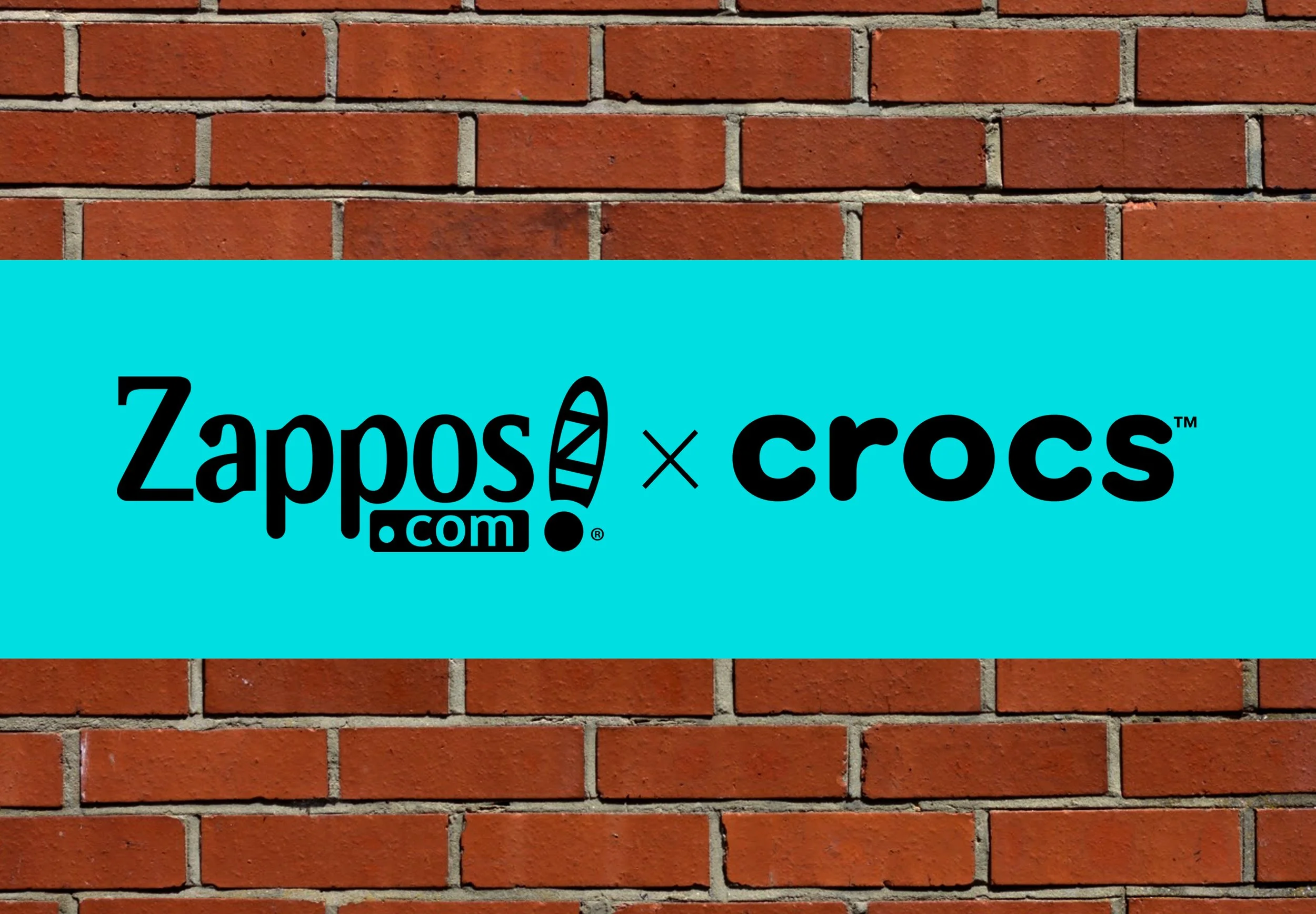 Evolution'S Surprise: Crocs Mimicking Prehistoric Thalatosuchians? - c6afhpe