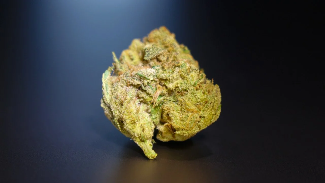 Close-up of a cannabis bud on a black background.