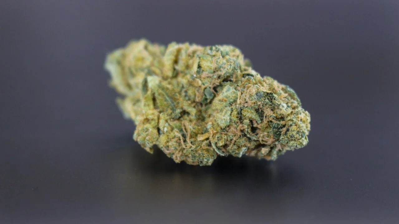 Close-up of a cannabis bud placed on a black surface.