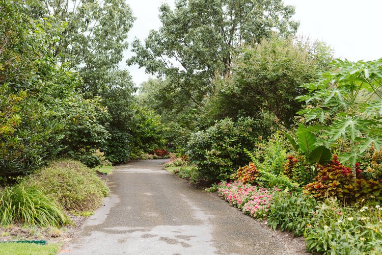 Garden pathway with lush greenery and colorful flowers under a cloudy sky.