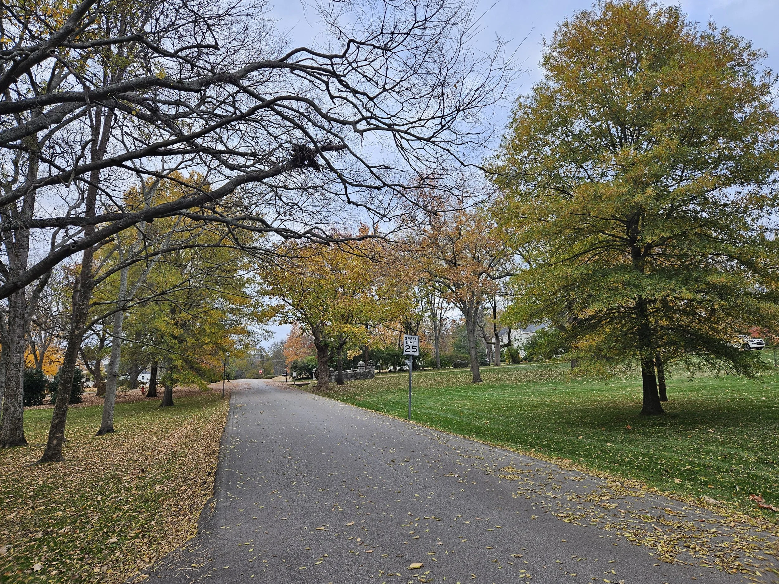 The beautiful country vibe outside the house