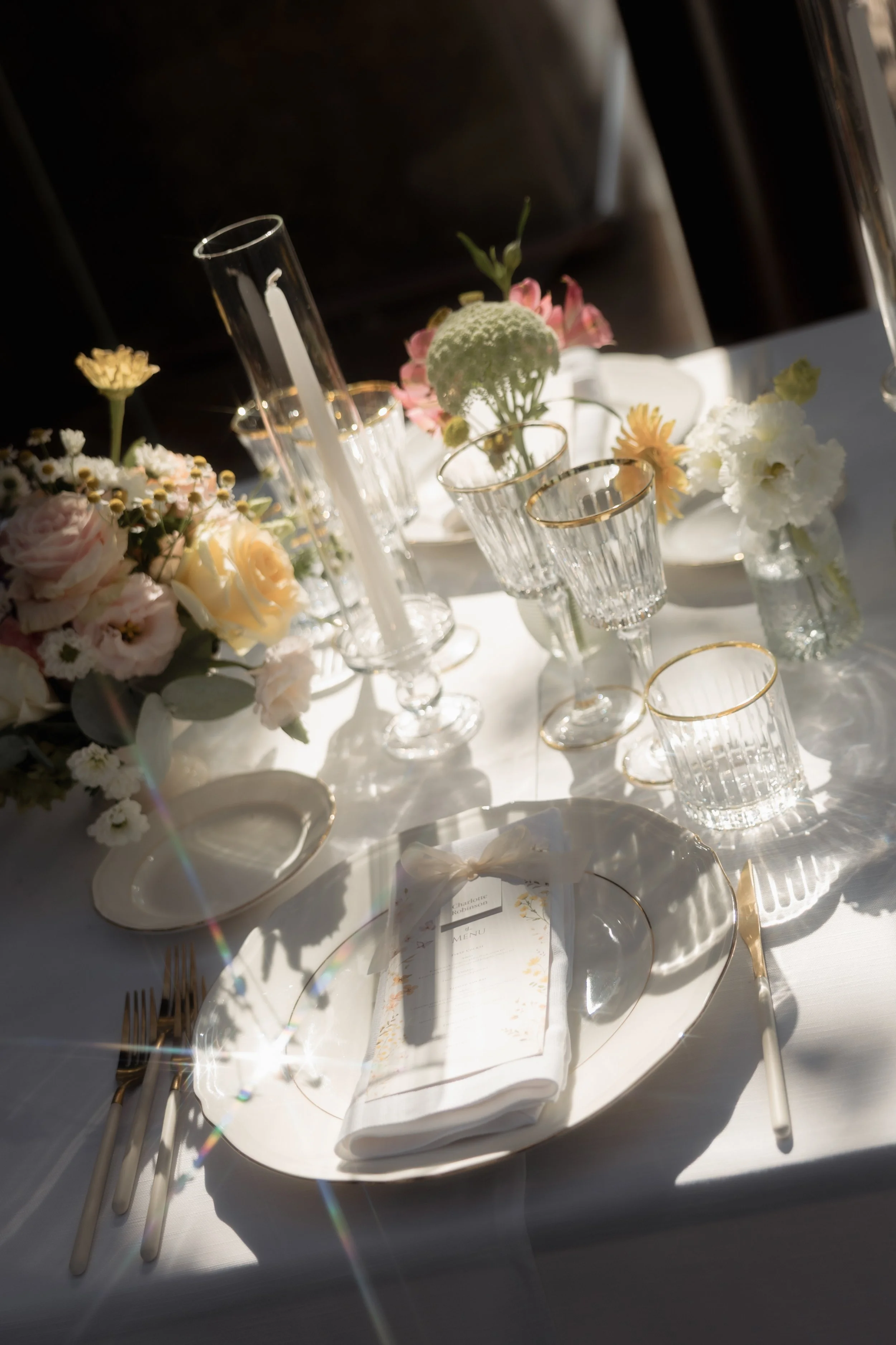 lauren_and_jay_wedding_sneakpeek_by_diavoller-11.jpg