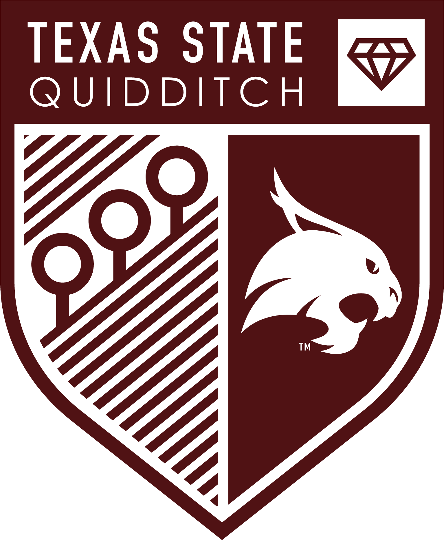 Logo of Texas State Quidditch featuring a shield with a team name, a diamond icon, a tree emblem, and a lion's head.