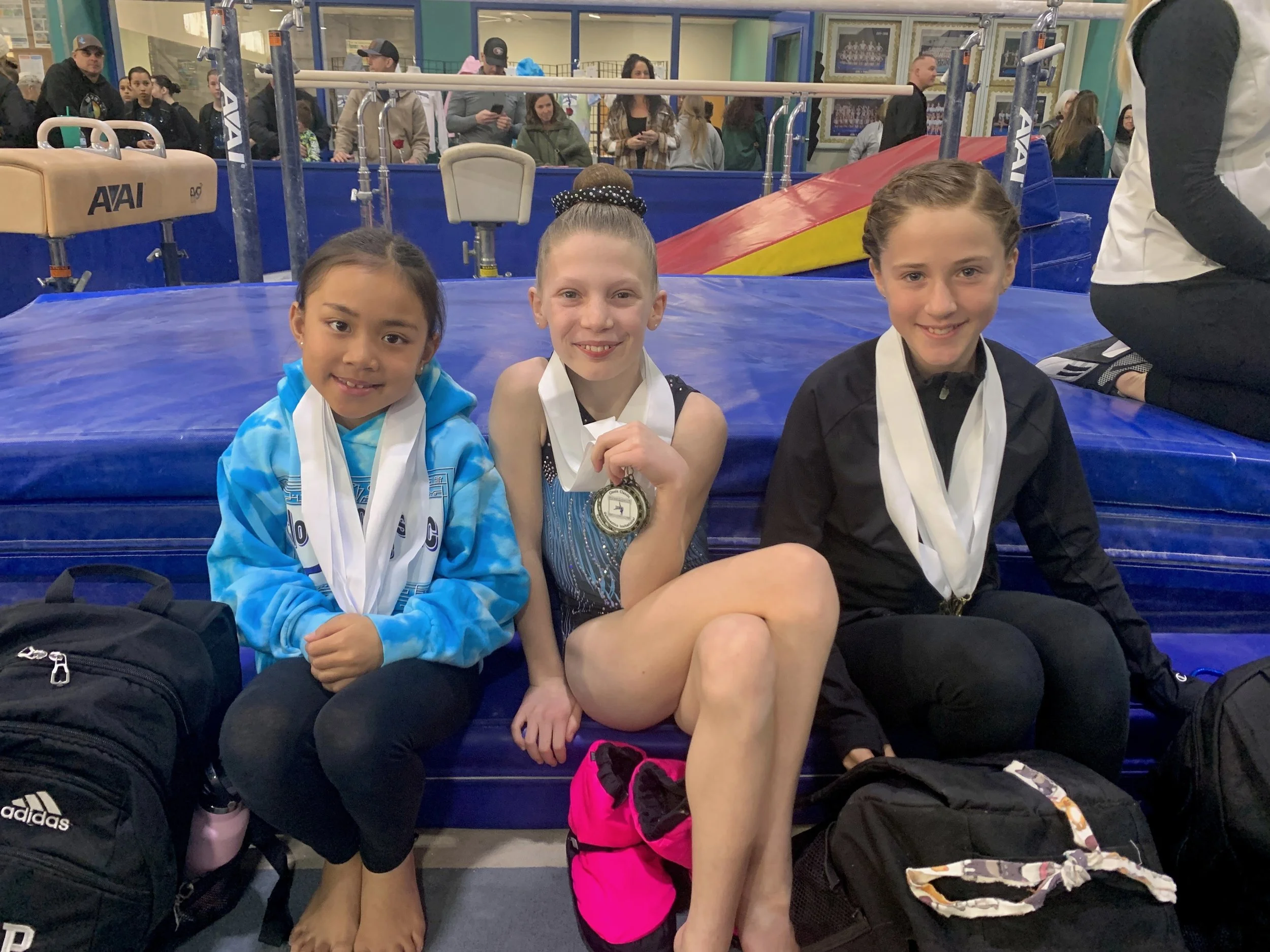 Girls Teams — Clovis Academy of Gymnastics