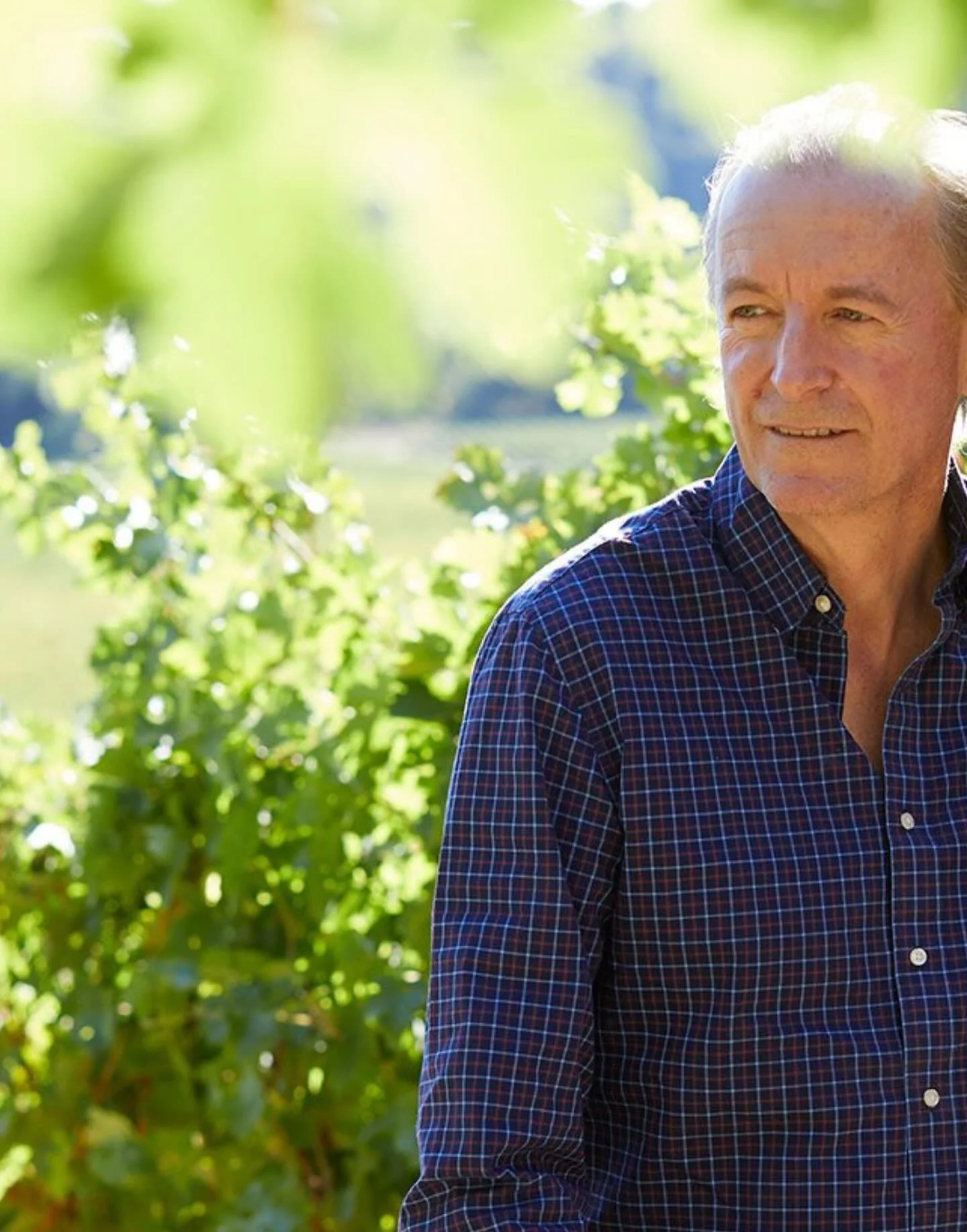 TONIGHT from 4:00-7:00 meet Nick Goldschmidt of Goldschmidt Wines as he pours us a lineup of his beautiful California vino! just $20 to try an incredible lineup with the man himself!