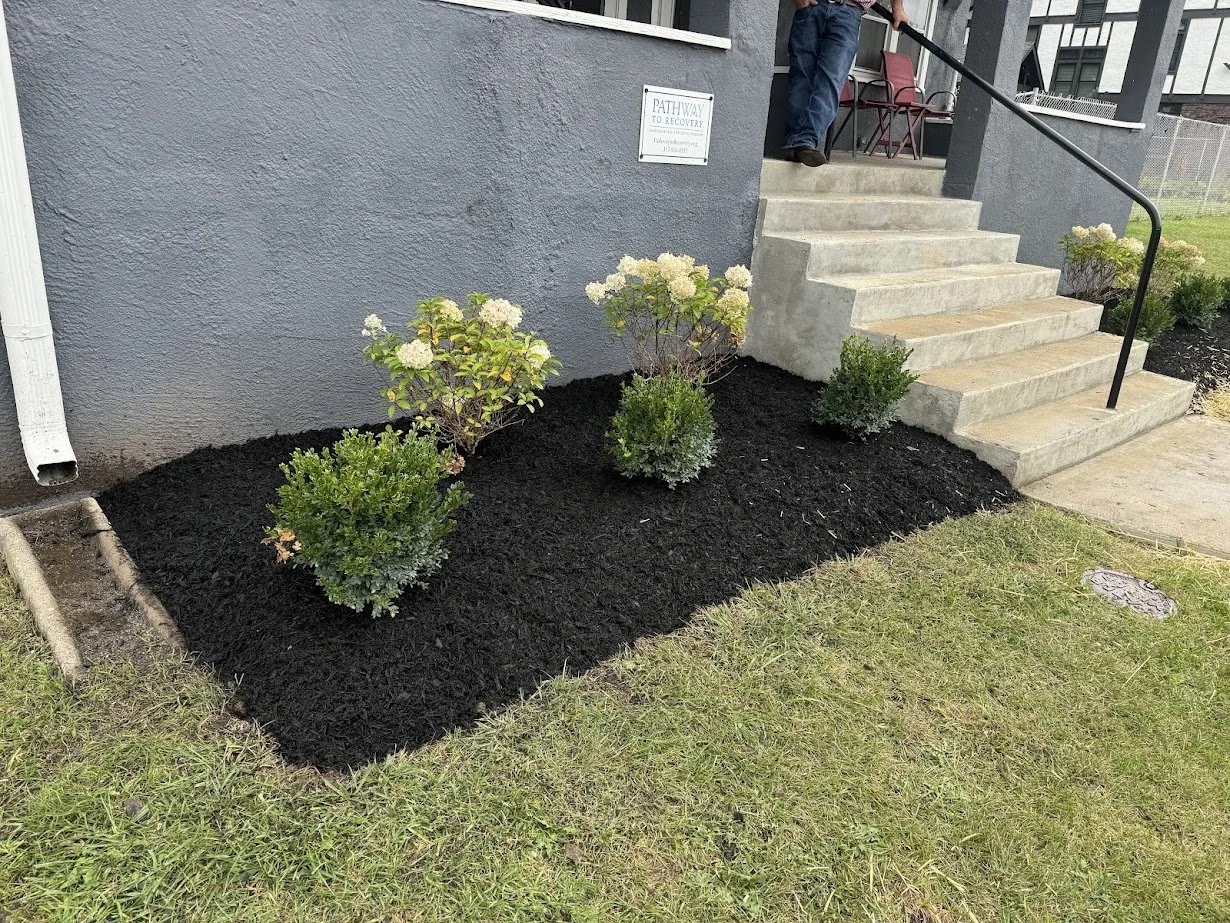 Landscape installation 6.jpg