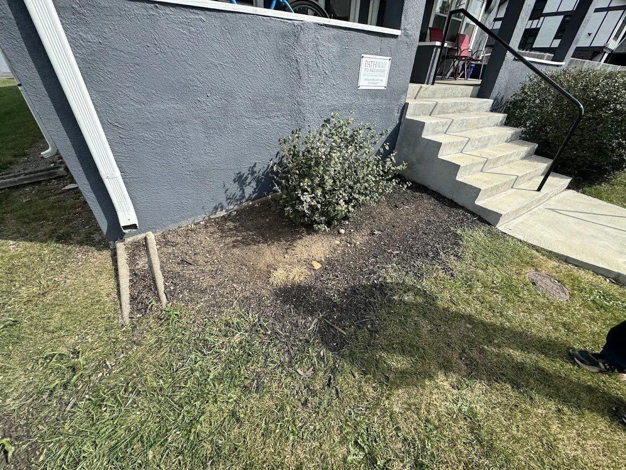 Landscape installation 5.jpg