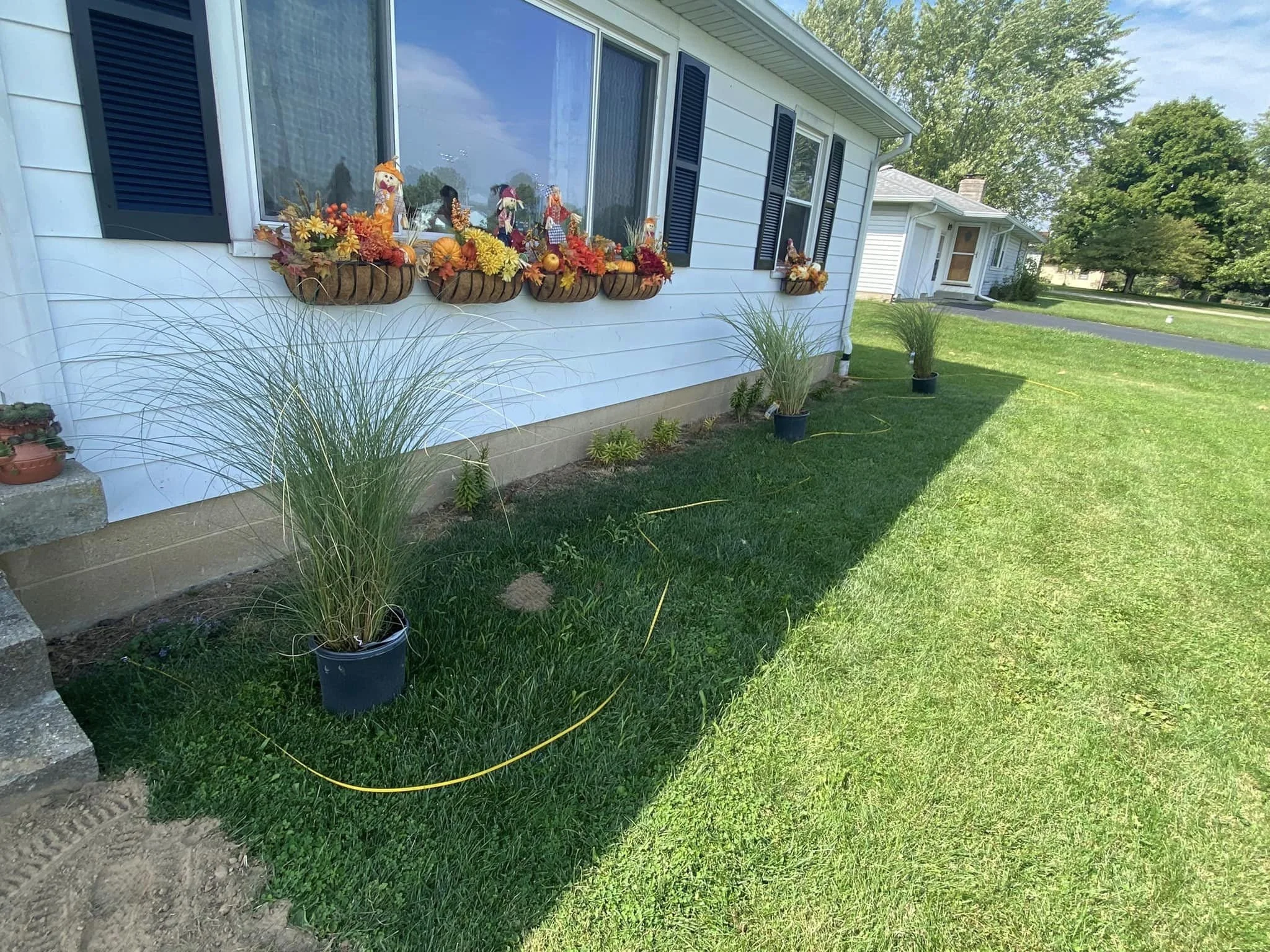 SR landscape install before 2.jpg