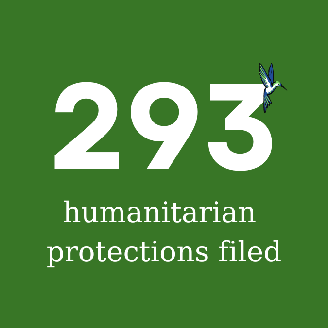 7-humanitarian.png