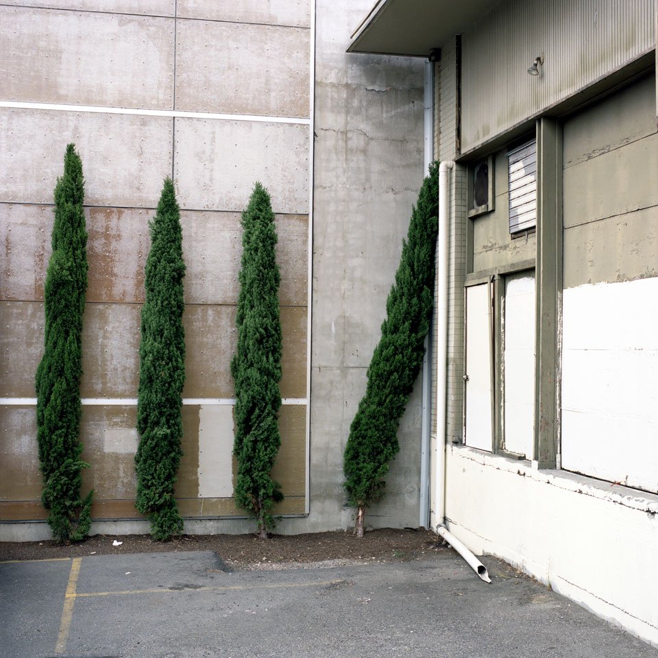 Lazy Tree