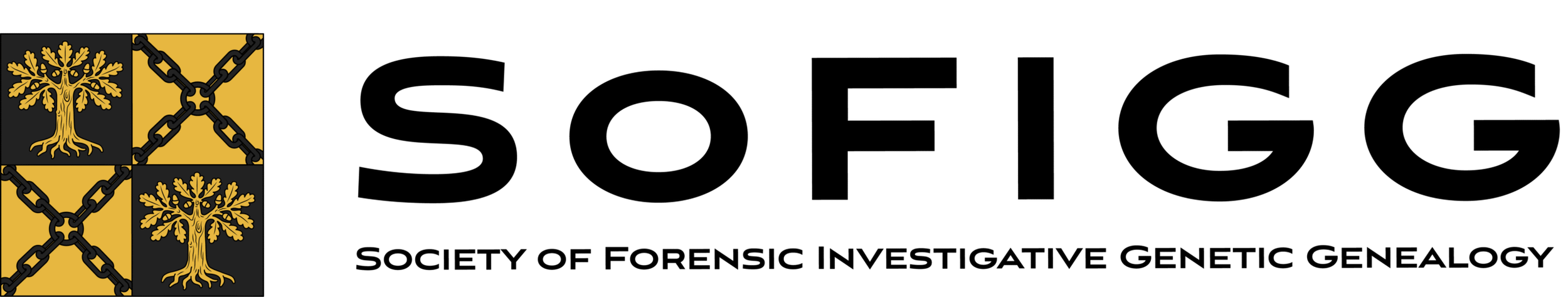 sofigg-logo-name-scaled.png