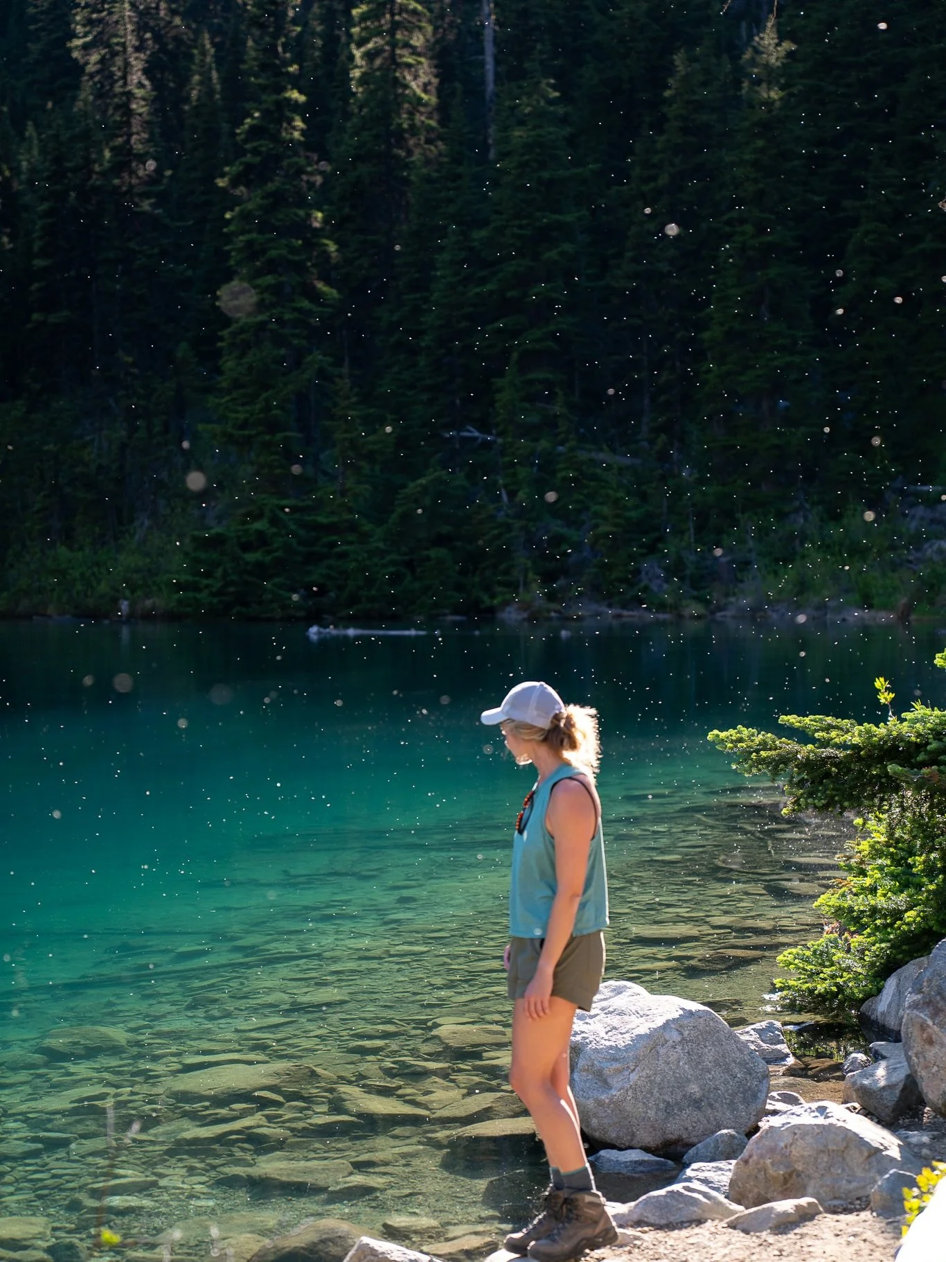 Magical sun glitter on these pristine mountain lakes ✨ 

A few snaps from the BC to Sea Road Trip camera roll 

My favorite part of these is the deep forest greens and the sunlight catching the wings of the bug hatch and making such a beautiful bokeh