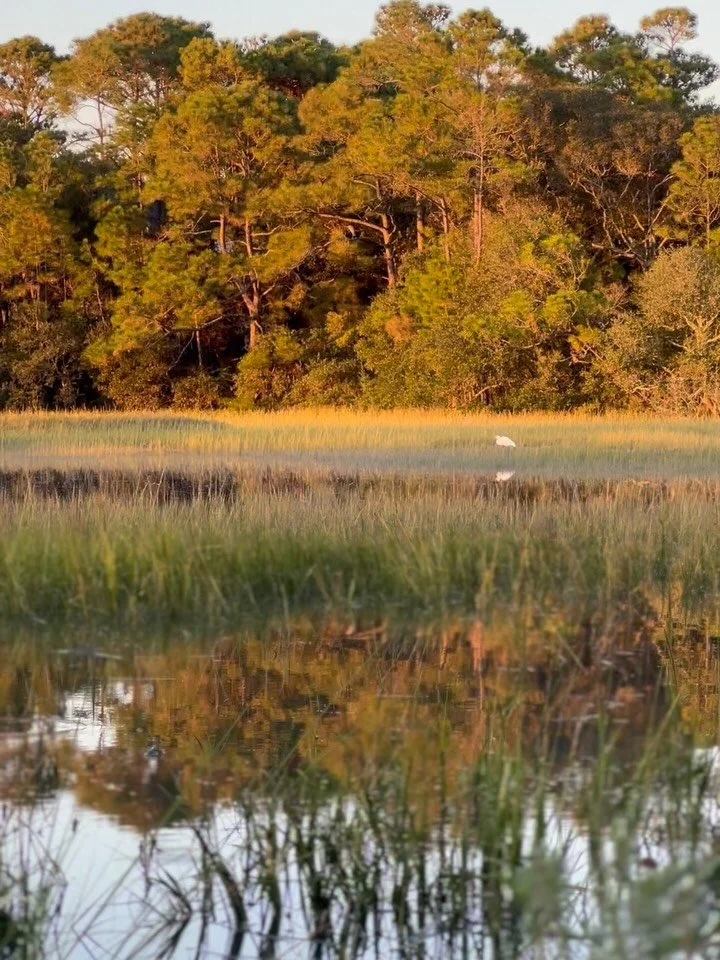 Favorites from Folly over the years&hellip; 💌

Charleston photographer, Folly Beach photographer, things to do Charleston, things to do Folly Beach