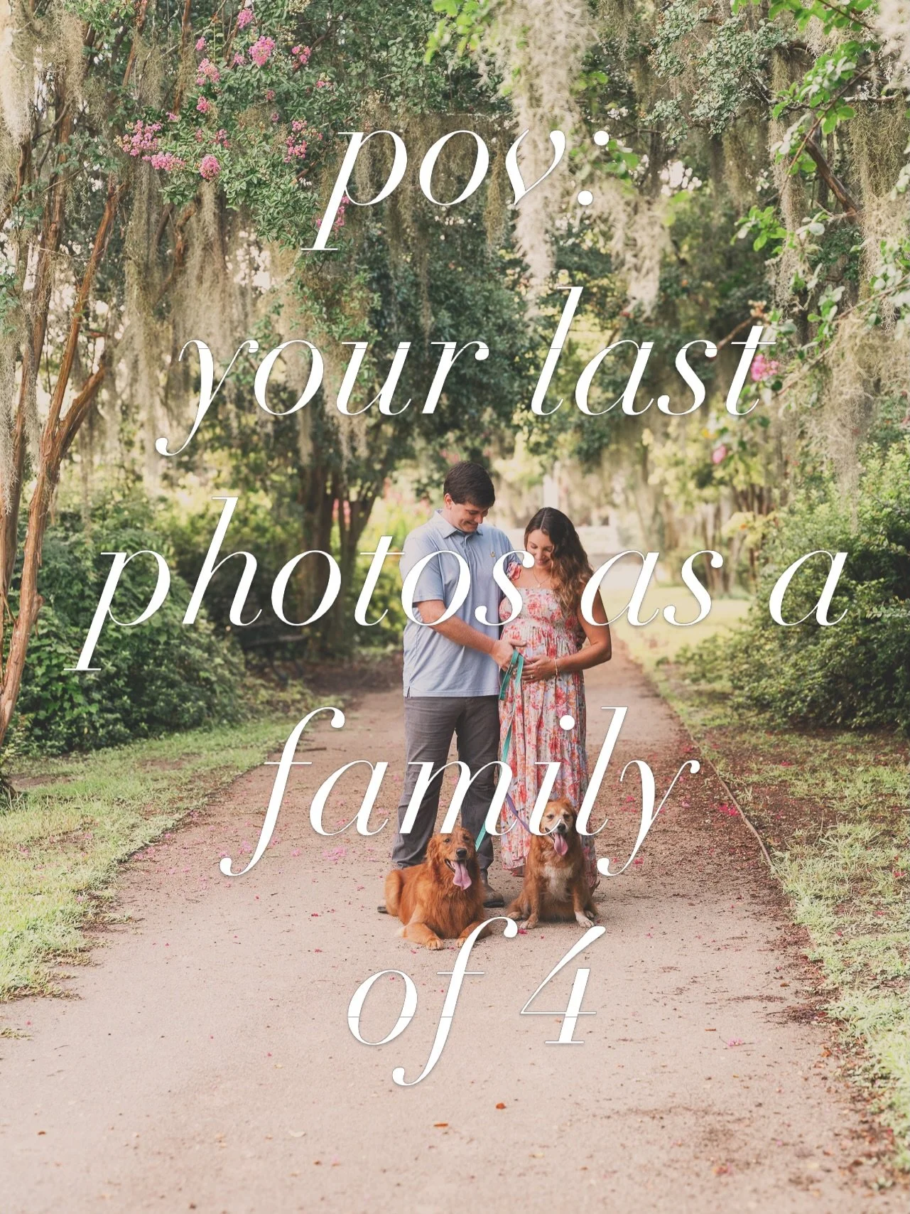 Walking around Charleston in full bloom reminded me of this beautiful morning almost 2 years ago with my friends @shelby_ander and @jay_andersen - I just had to give them another feature on my feed 🥹

Miss you guys so much! 

🌺🌺🌺

Charleston phot