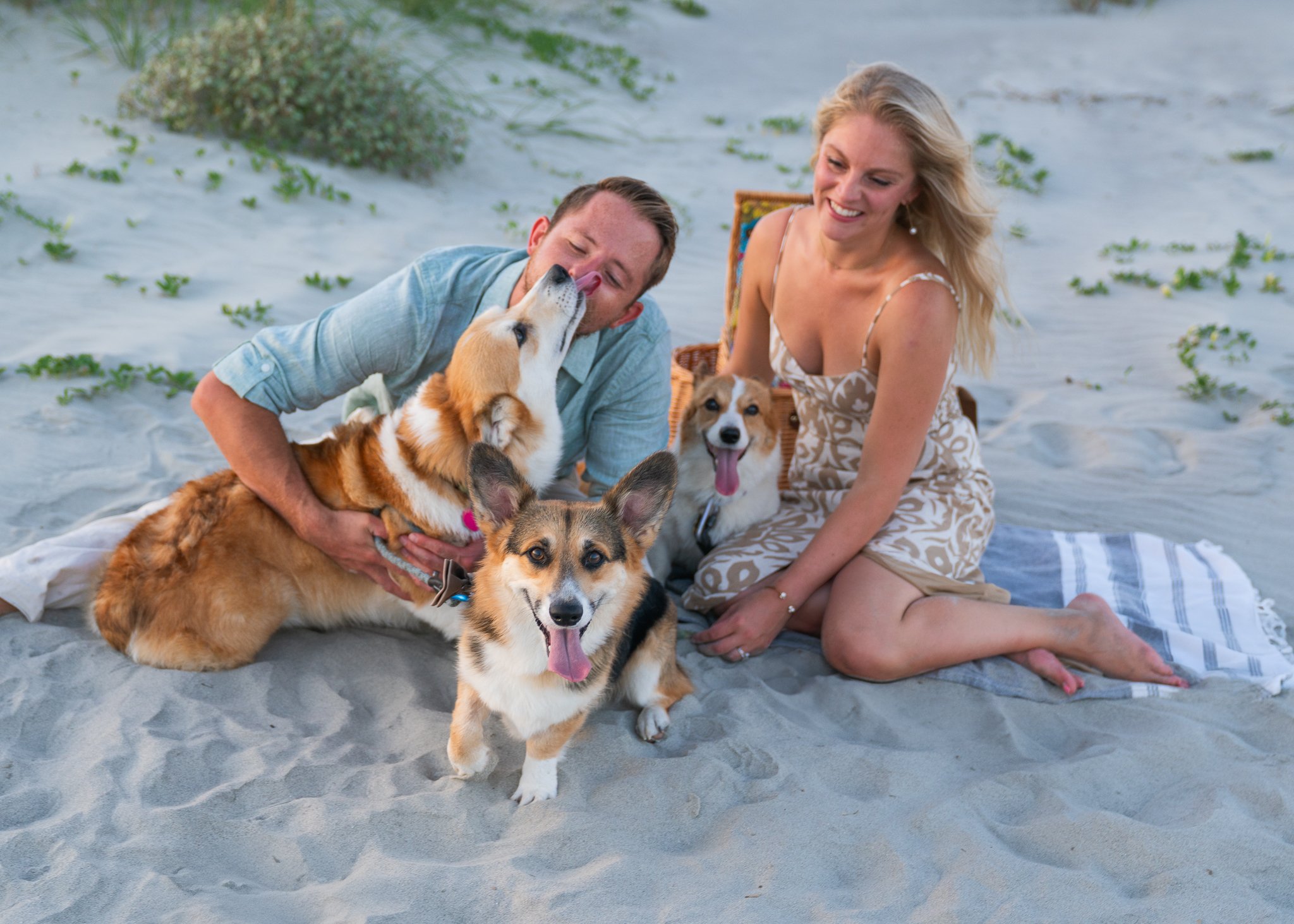 Young couple sitting on a beach blanket with picnic, love and hugging their three corgies for Folly Beach pet portraits