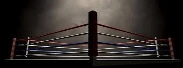 Sports Combat Photography