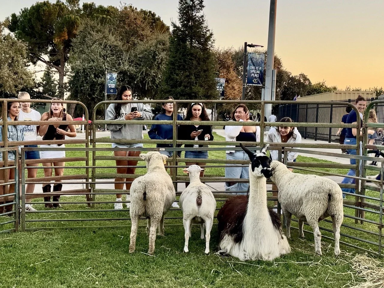 Salute to Ag Day Football Game