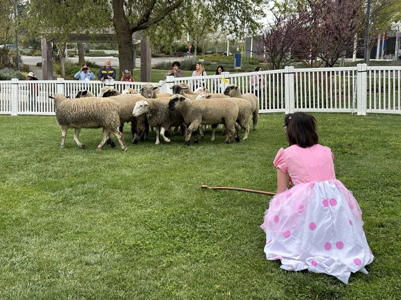 Halloween/Parent & Family Weekend Grazing
