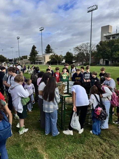 IMG_7538 Medium.jpeg