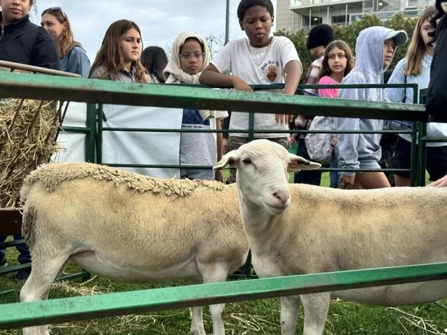 IMG_7542 Medium.jpeg