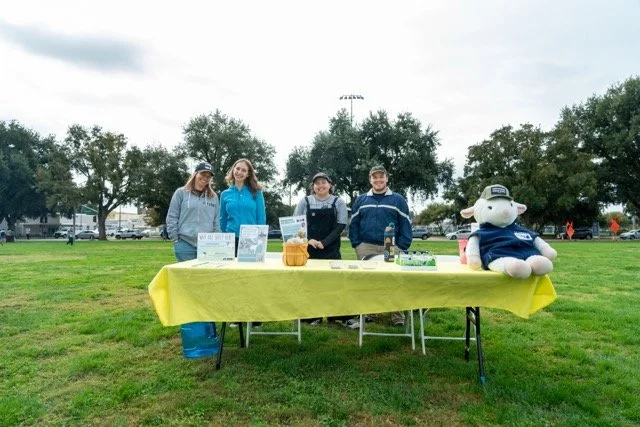 Sheepmowers 3 Medium.jpeg