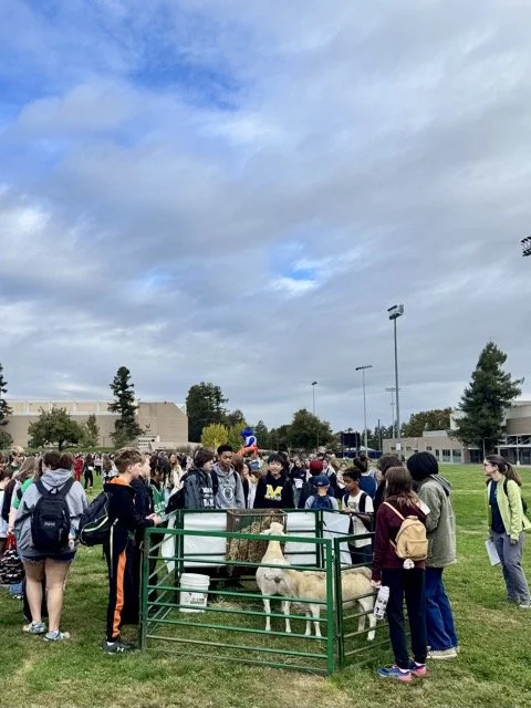 IMG_7535 2 Medium.jpeg