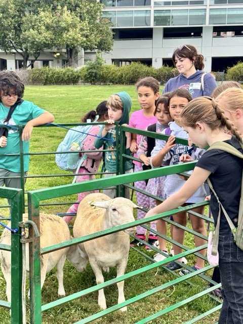 IMG_7532 3 Medium.jpeg