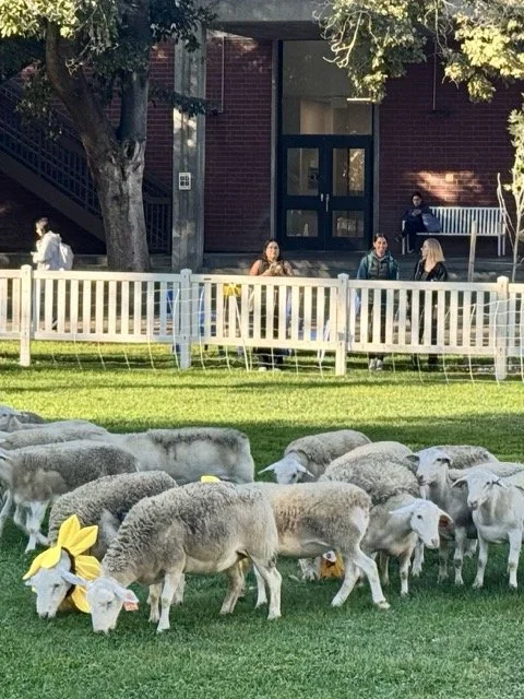 IMG_7352 Medium.jpeg