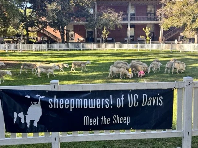 IMG_7401 Medium.jpeg