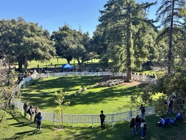 IMG_7409 Medium.jpeg