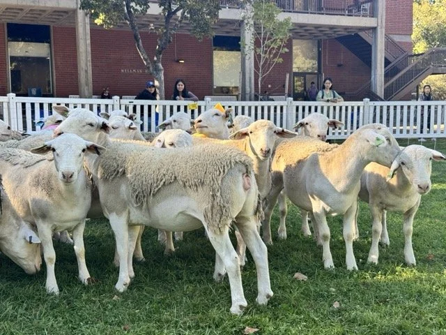 IMG_7450 Medium.jpeg