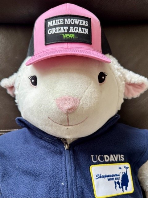 IMG_7297 Medium.jpeg