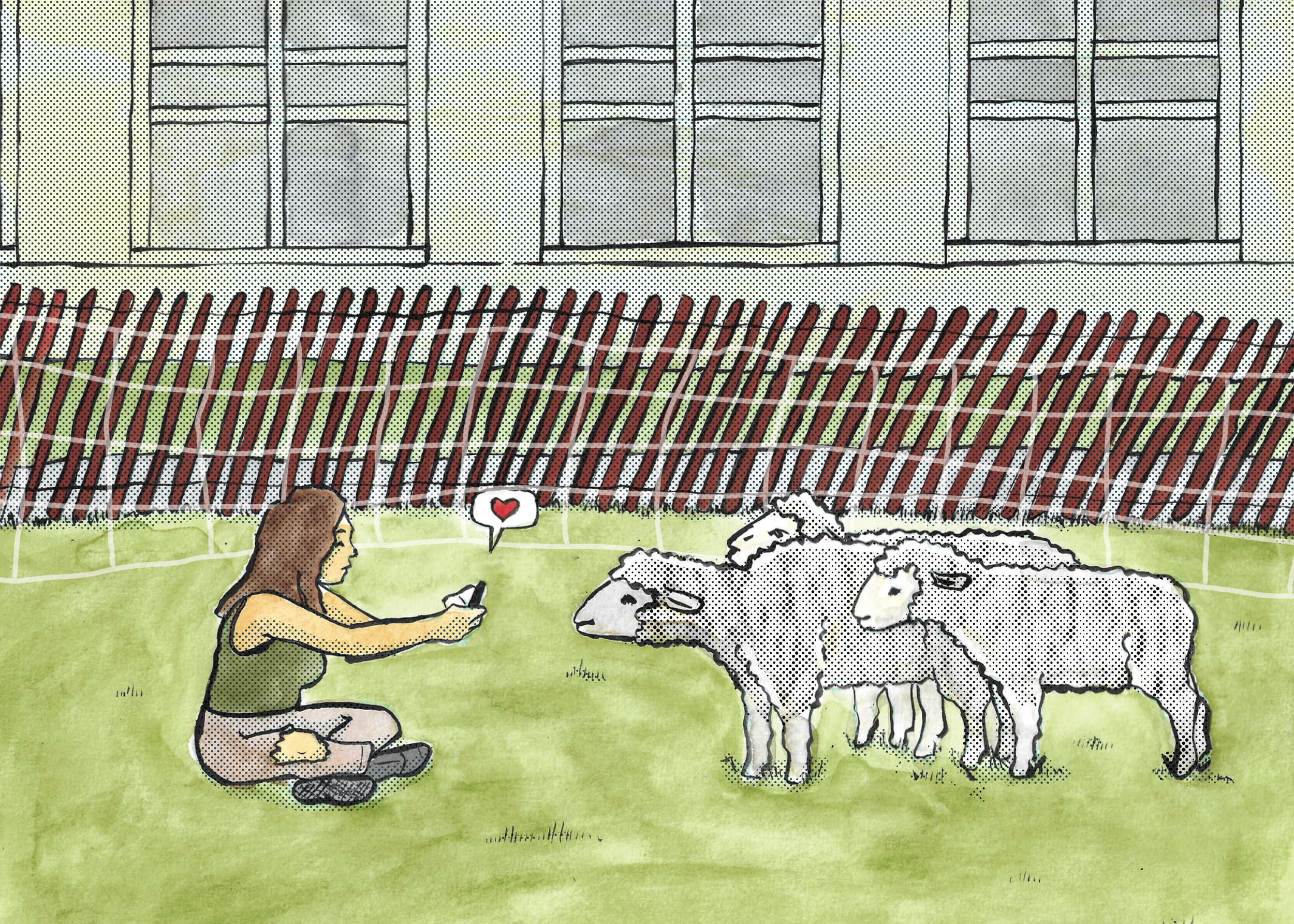 Sheepmowing HEALS_pg30_crop.png