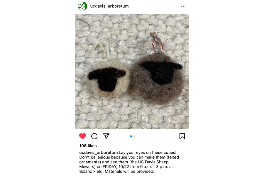 arboretum felting.png