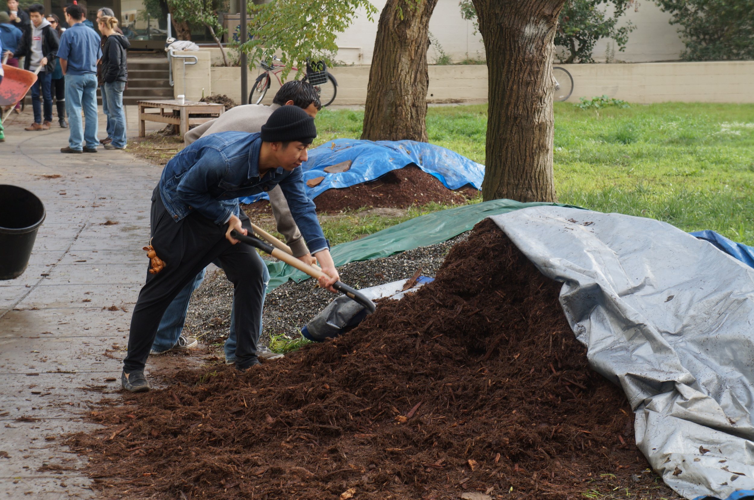 uc-davis-landscape-architecture-student-designed-projects-in-the-courtyard-of-hunt-hall-fall-2014_16025560036_o.jpg