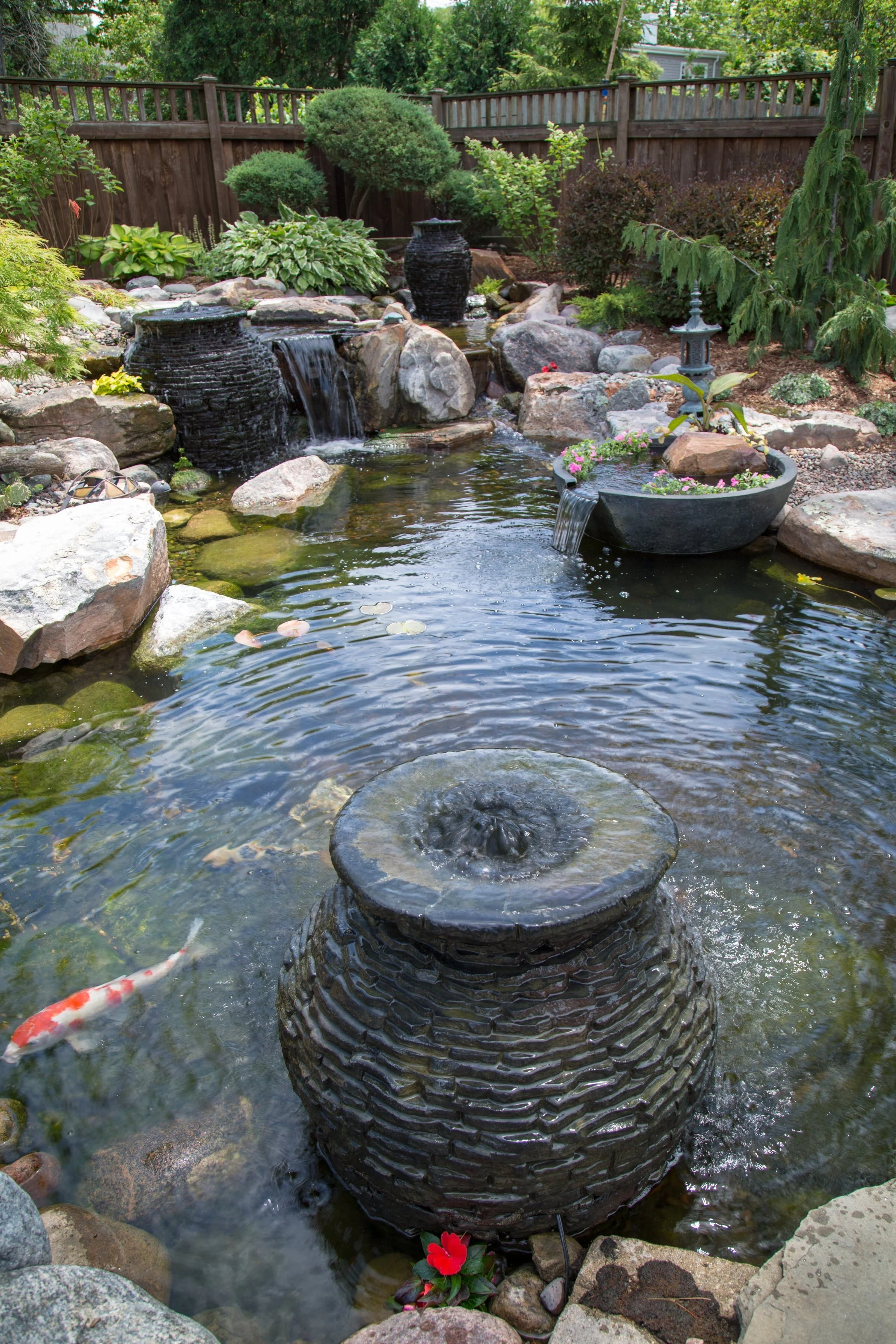 Ecosystem Pond_15.jpg