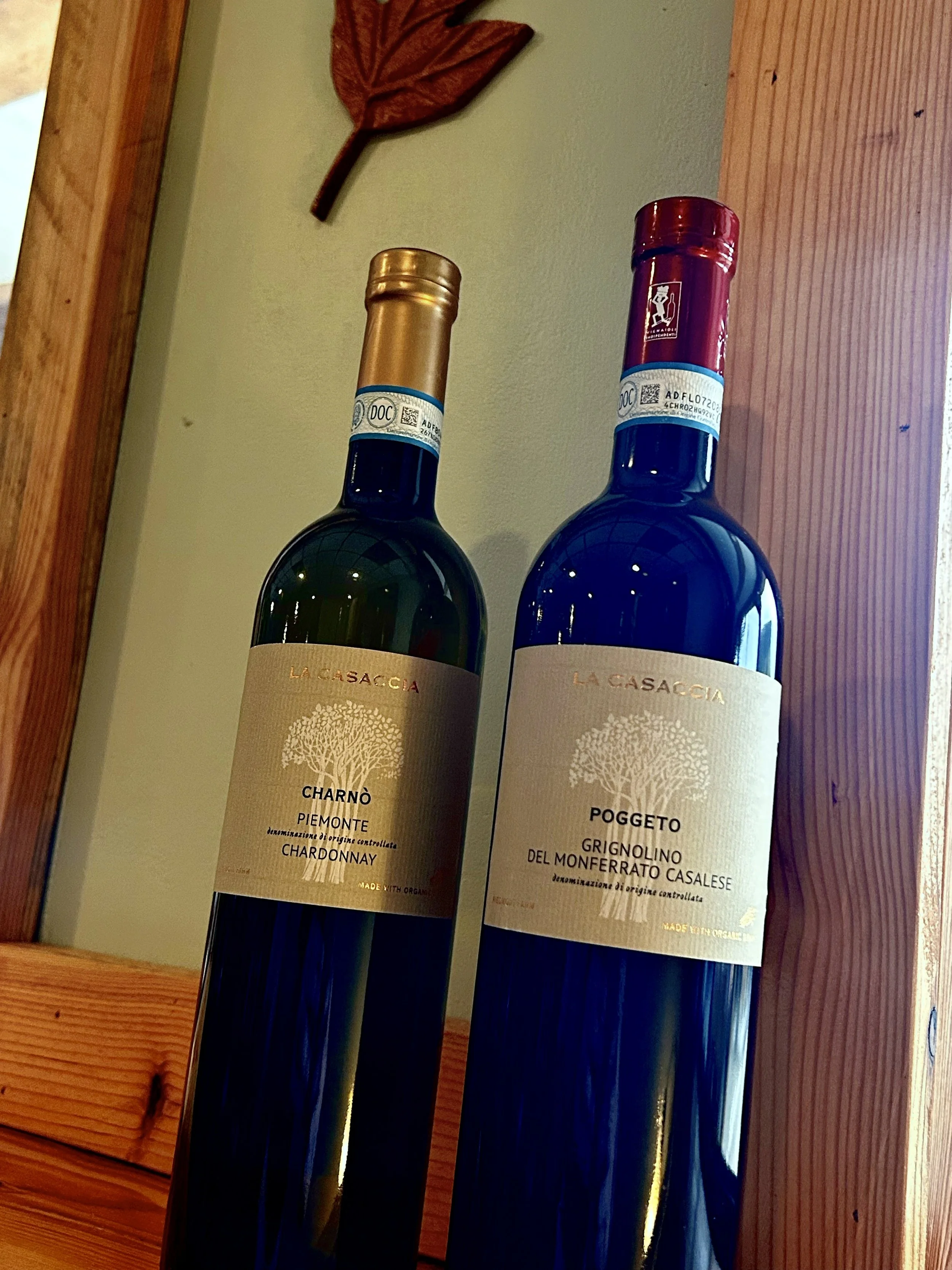 Winnie Pour Wednesday