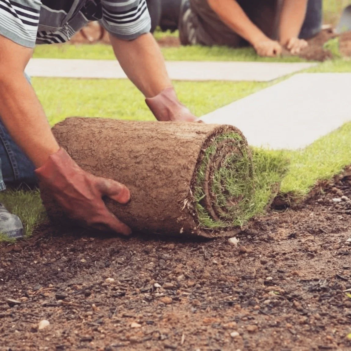 Spring is here! Get your lawn ready for 2026!