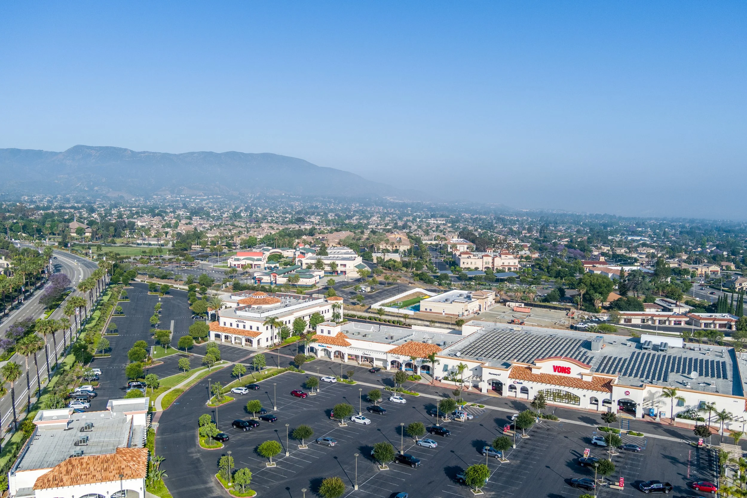 Aerial Root 66 Corona 